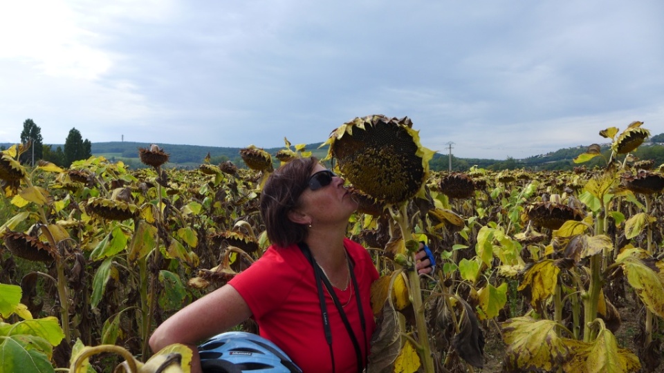 Sheryl_Getting_Personal_with_Sunflower